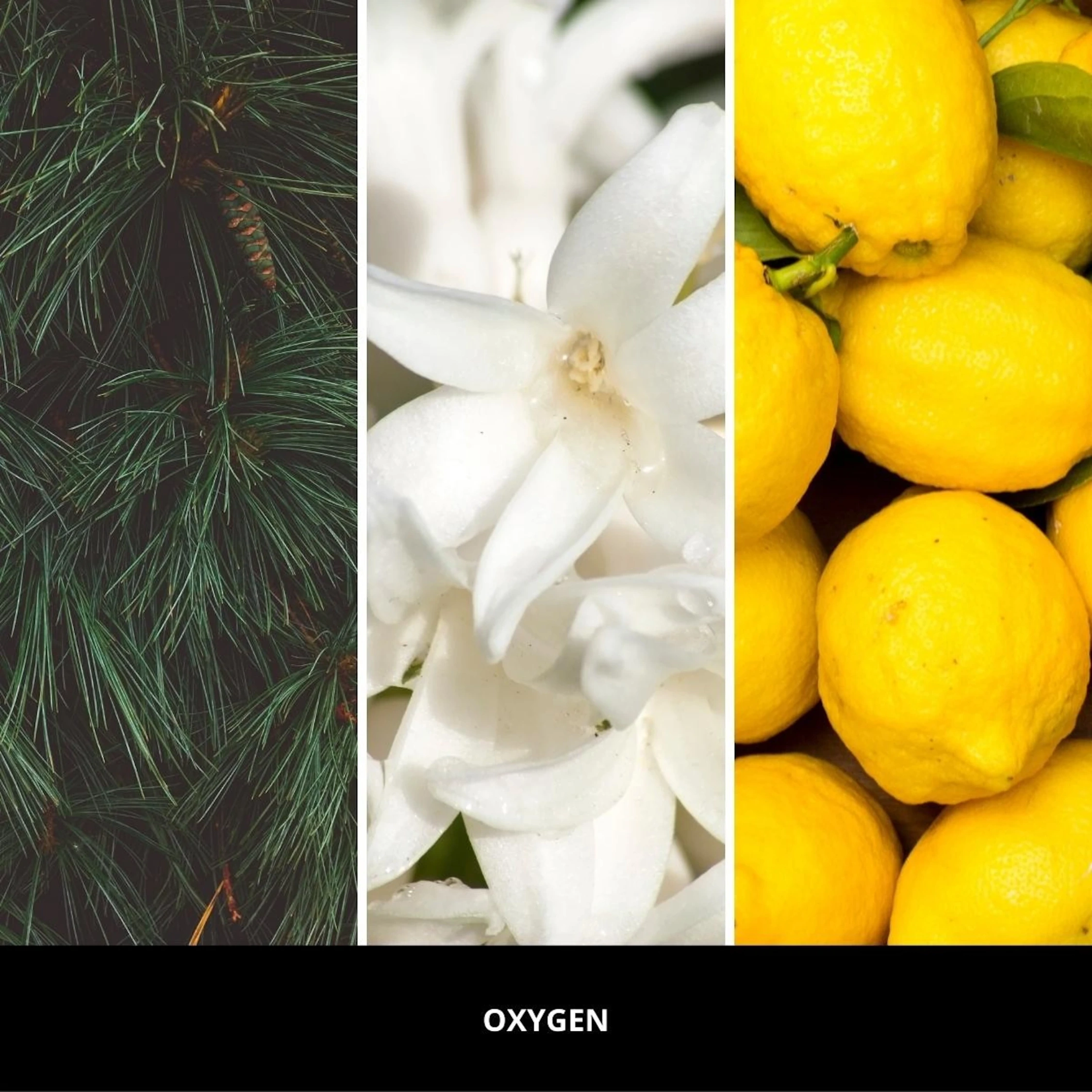 Odświeżacz do samochodu Car Icon Textile Geometric Oxygen