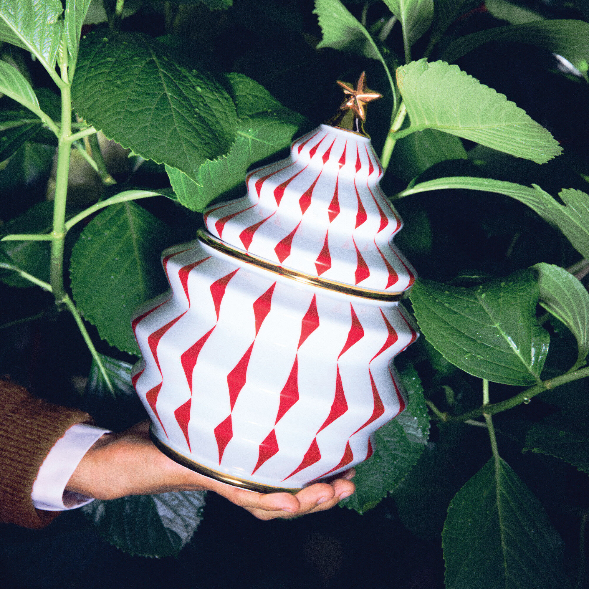 Pojemnik na słodycze duży 2,1l Delight