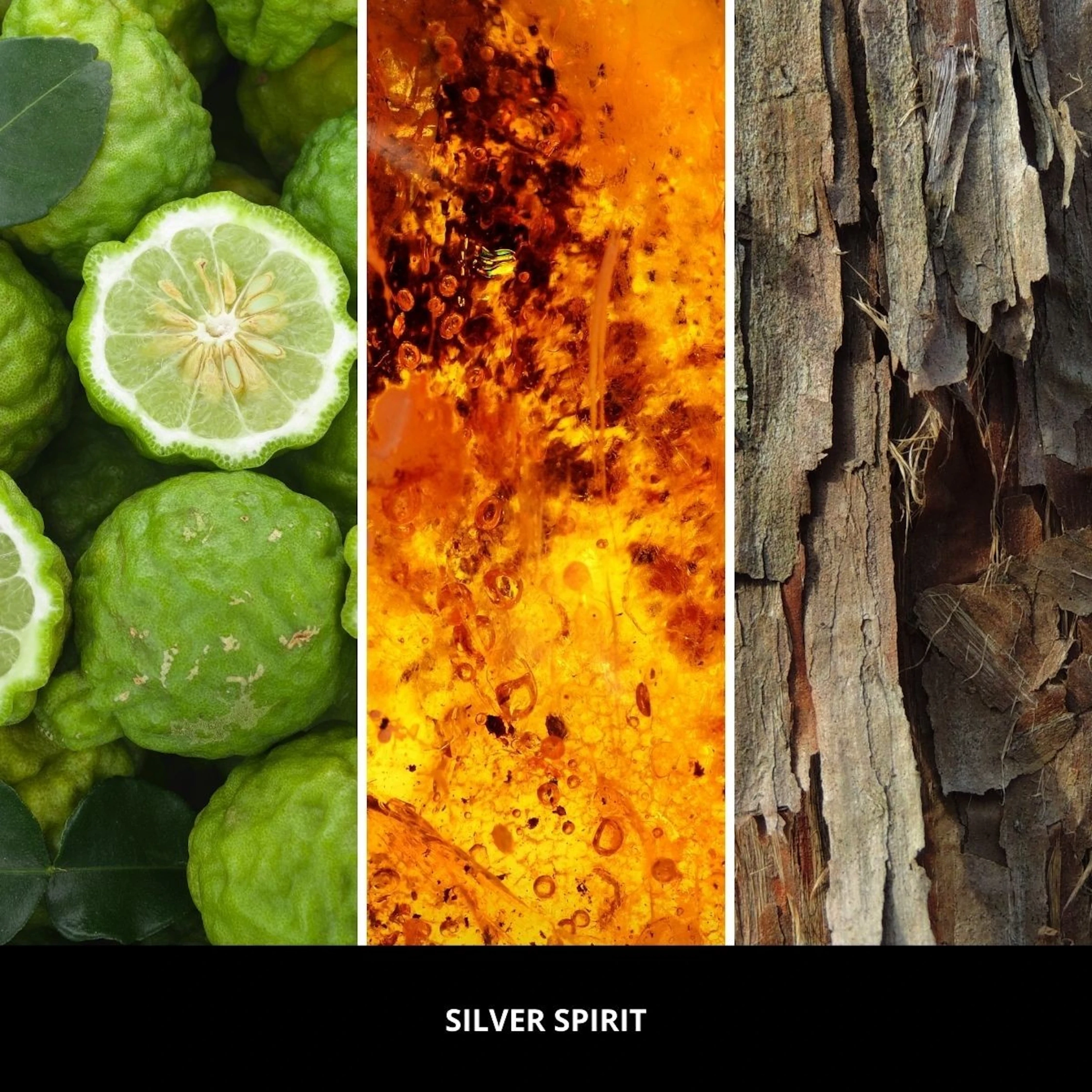 Odświeżacz do samochodu Car Icon Textile Floral Silver Spirit