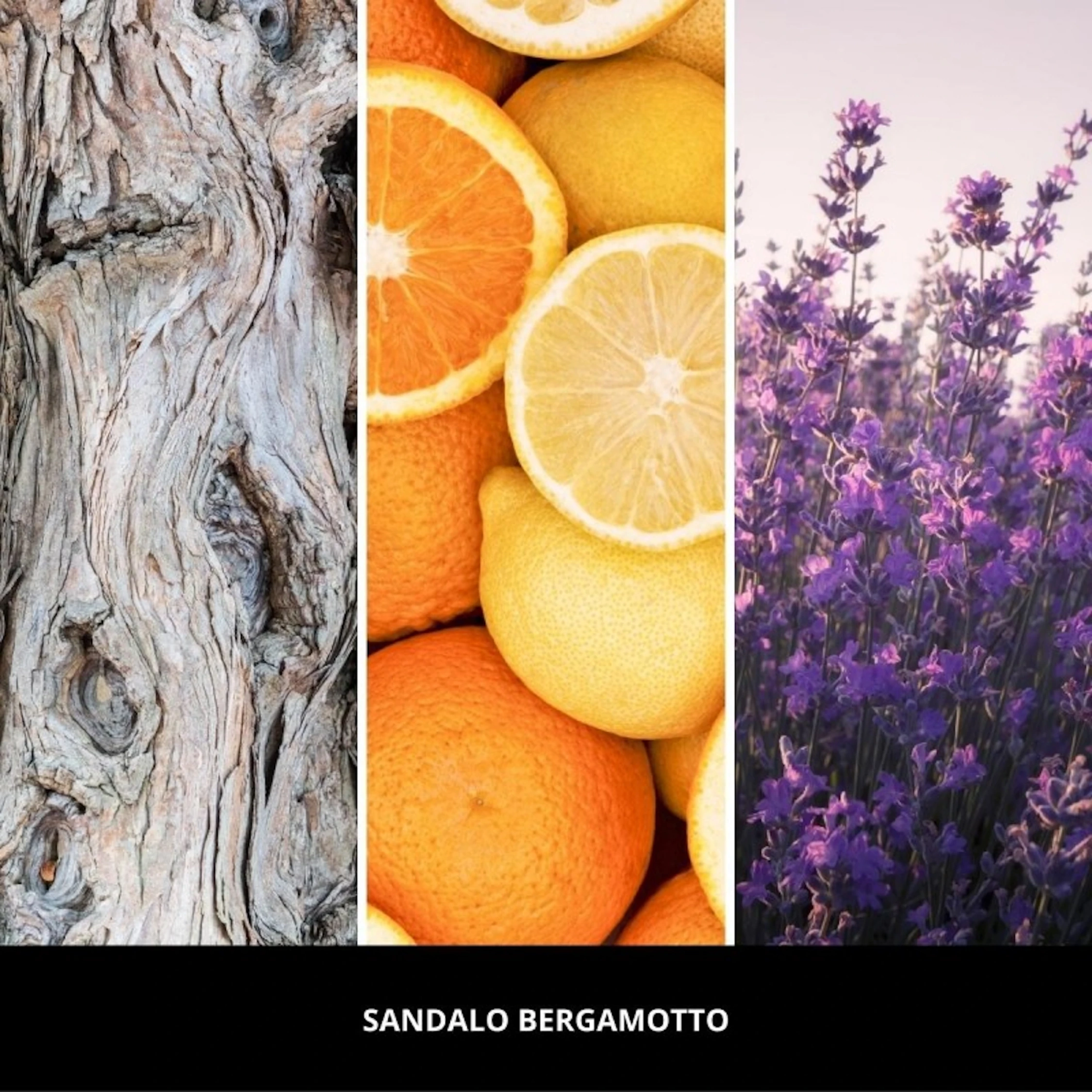 Uzupełniacz do odświeżacza Car Icon Sandalo Bergamotto