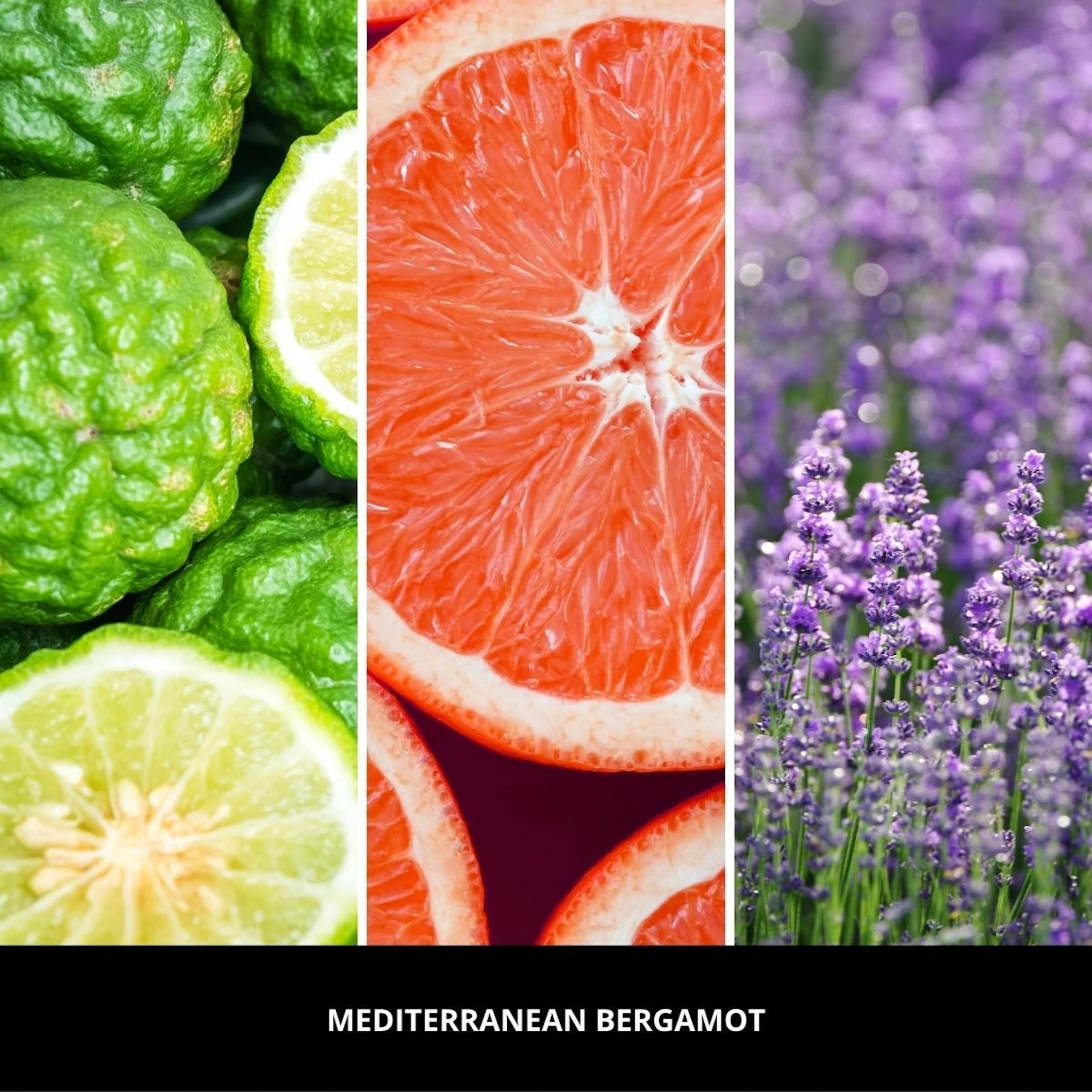 Uzupełniacz do odświeżacza Car Icon Mediterranean Bergamot