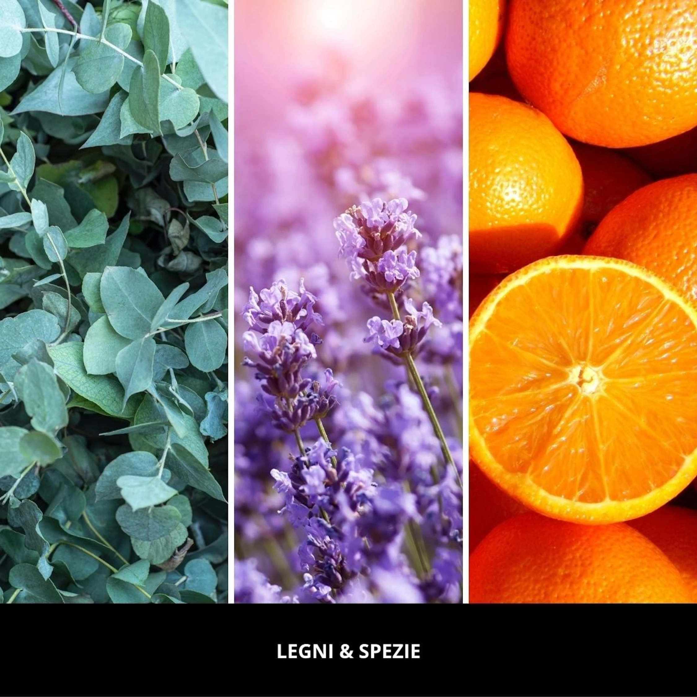 Uzupełniacz do odświeżacza Car Icon Legni & Spezie