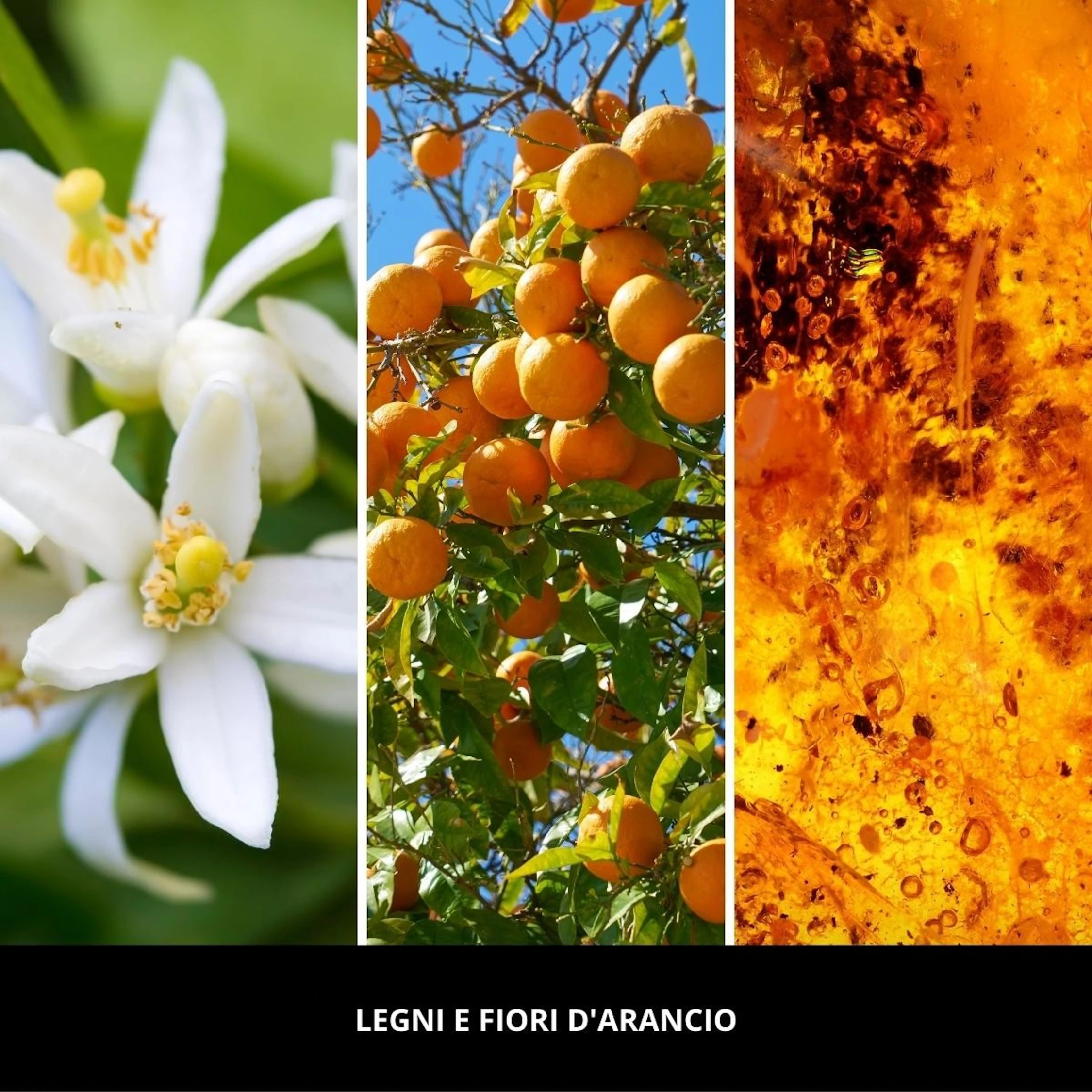 Uzupełniacz do lampy katalitycznej Legni e Fiori d'Arancio 500 ml