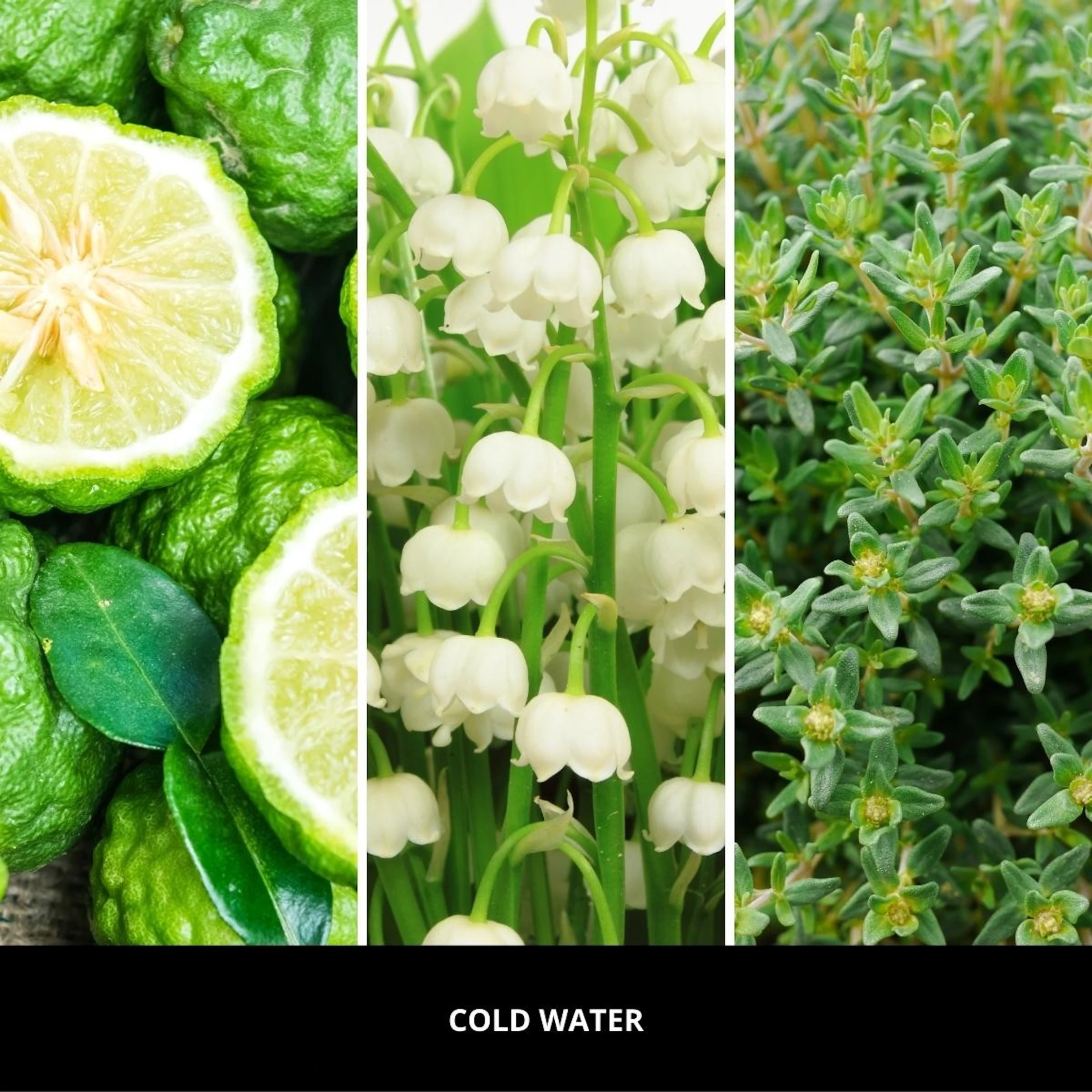 Odświeżacz do samochodu Car Icon Urban Cold Water