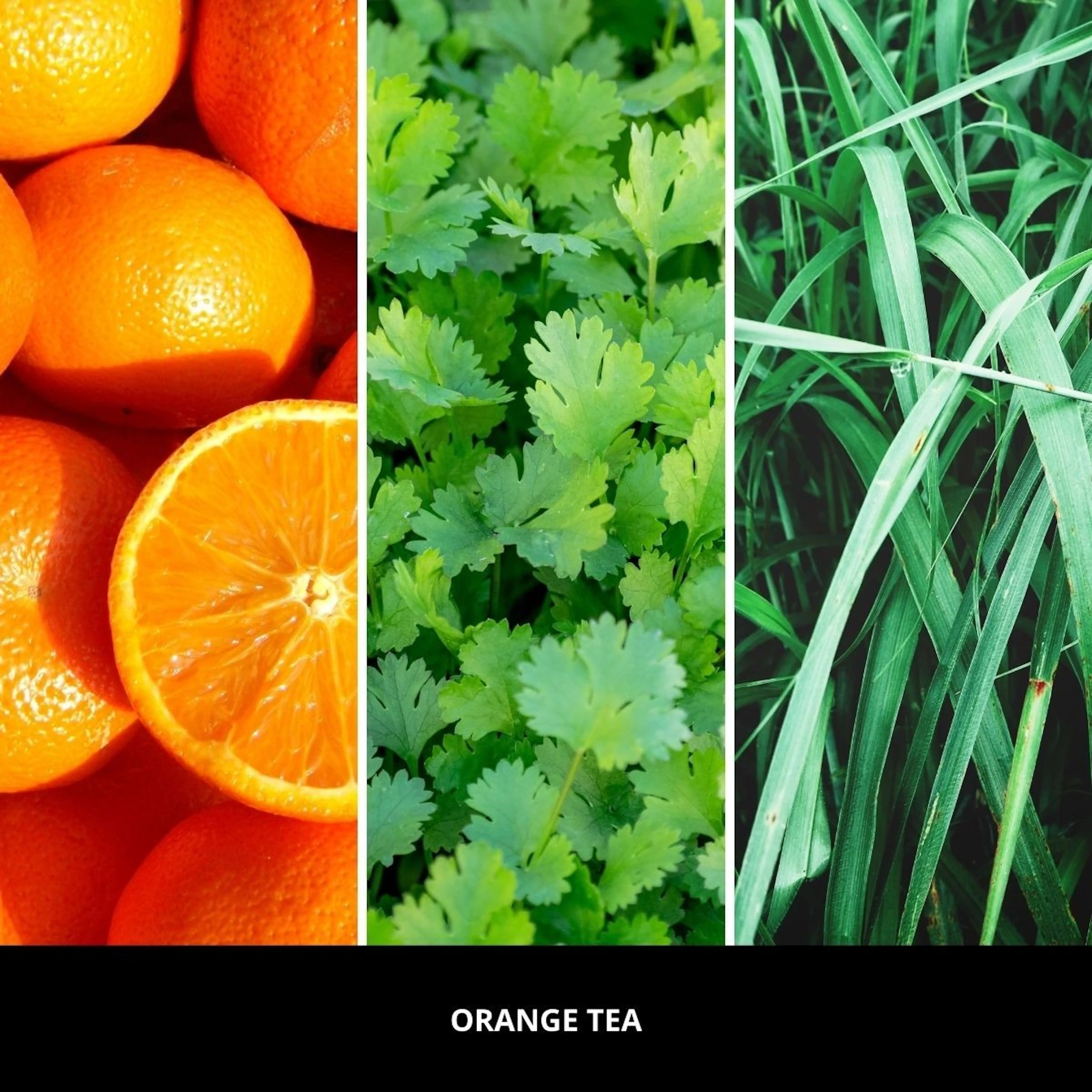 Uzupełniacz do odświeżacza Car Icon Orange Tea